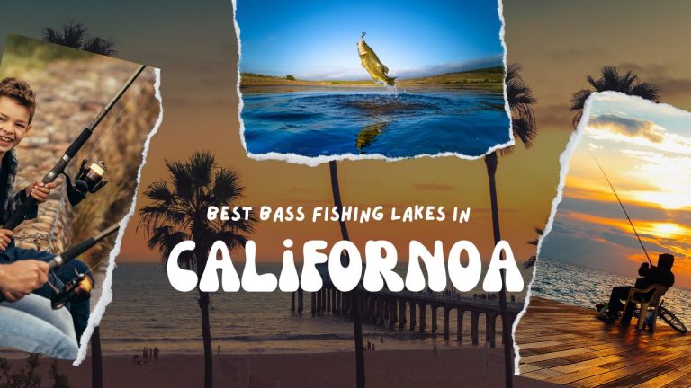 best bass fishing lakes in california