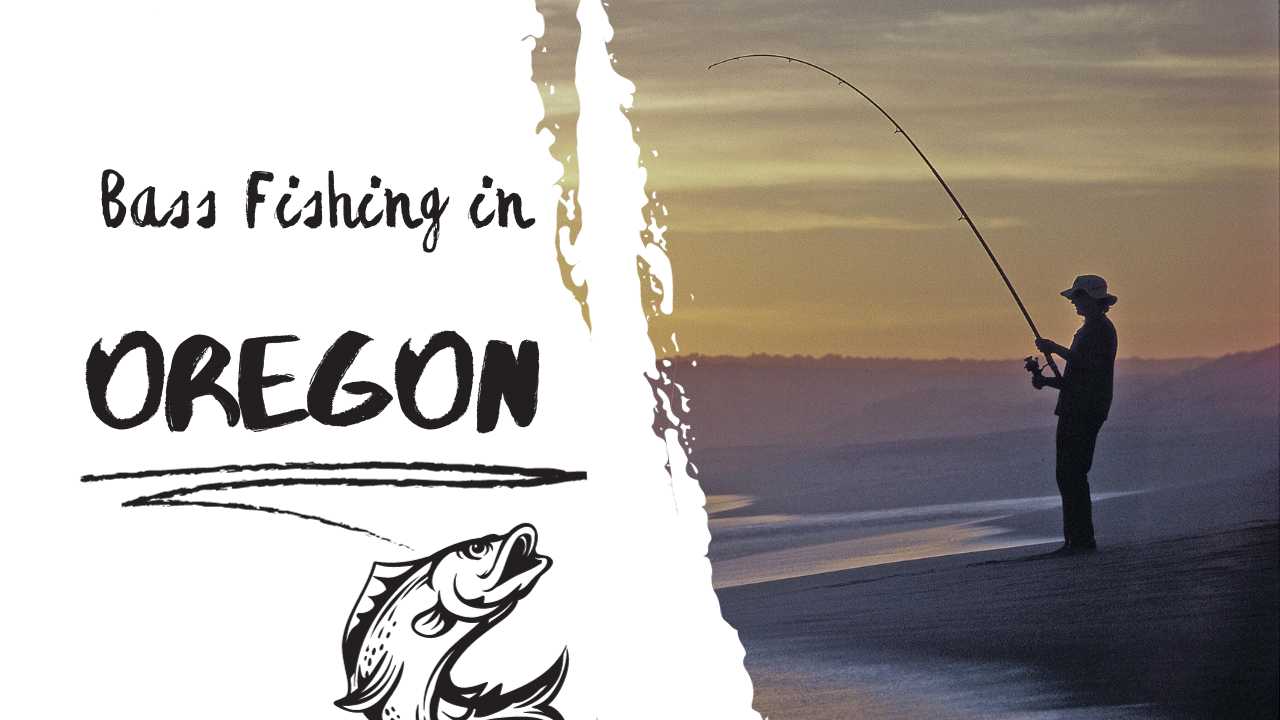 bass fishing in oregon featured image