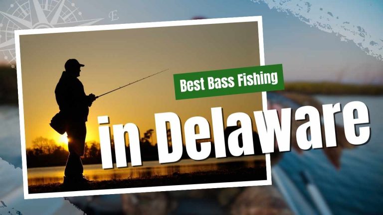 20 best bass fishing in delaware spots found