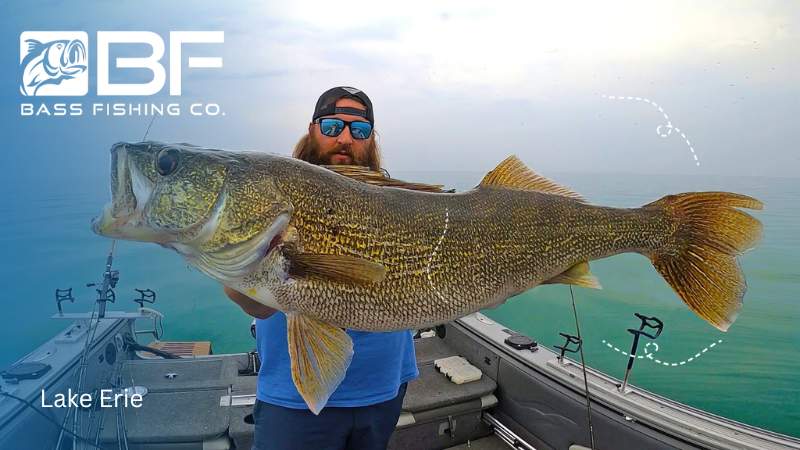 Lake Erie big fishing bass in us
