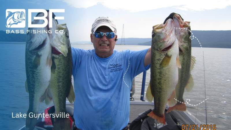 A man with 2 big fishes Lake Guntersville