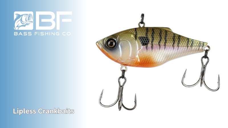 Lipless Crankbaits lurel another Best Cold Water Bass Lures