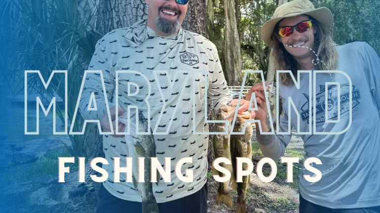 top fishing spots in Maryland featured image