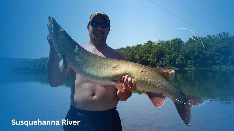 Susquehanna River fishing type