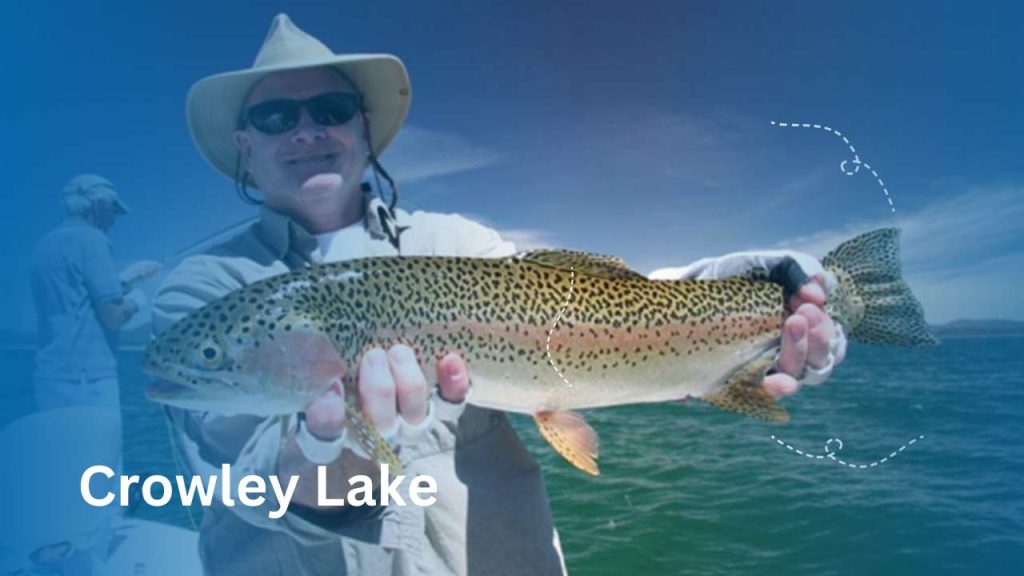 A man found big fish in Crowley Lake