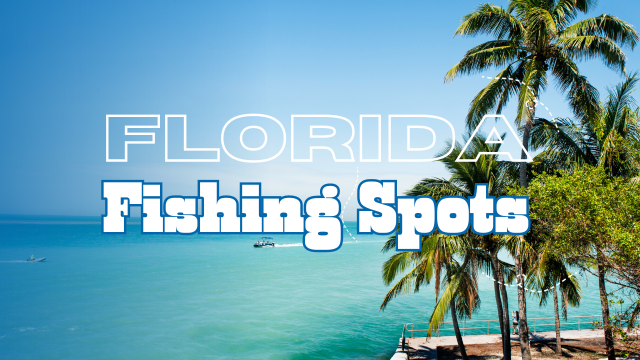 florida fishing spots featured image