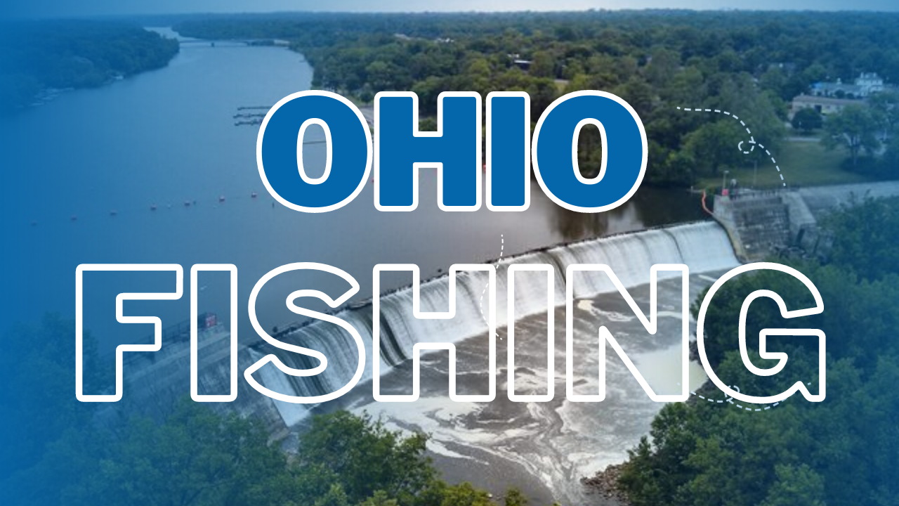 Exploring the Best Fishing Spots in Columbus, Ohio featured image