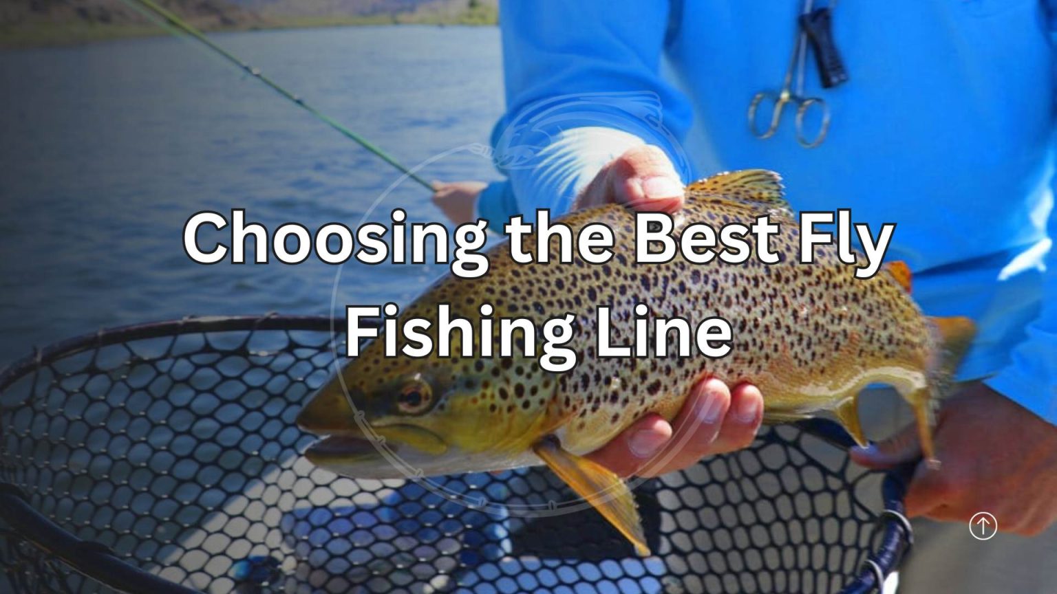A Comprehensive Guide to Choosing the Best Fly Fishing Line Bass Fishing